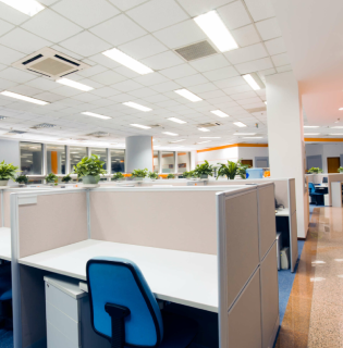 Office Boy Service 2